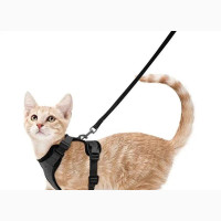 Cat Harness