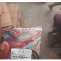 Oil Seals for All Motors - Original Quality