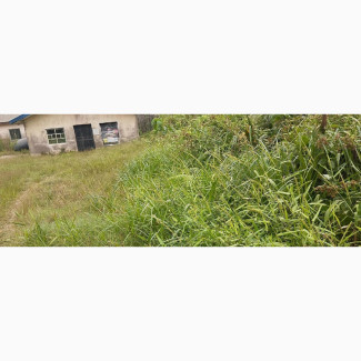 2 Plot of Land With Building on It