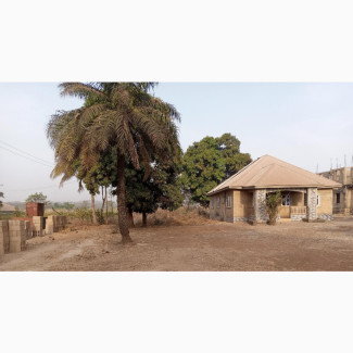 Plot Size 50/100 at Ngwubor Emene Enugu