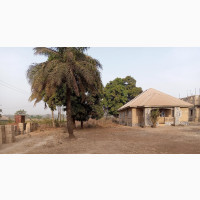 Plot Size 50/100 at Ngwubor Emene Enugu