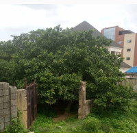 Land for Sale at Lifec