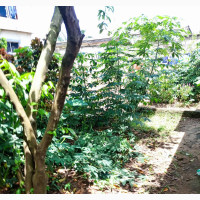 Residential Land for Sale (32ft by 37ft)