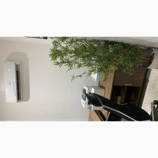 Private Office Space for Rent - Yearly