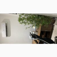 Private Office Space for Rent - Yearly