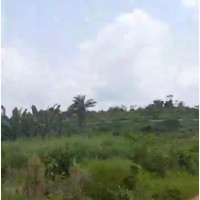 Buy Plots of Affordable Lands in Ngor Okpala
