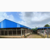 Livestock Farm for Sale