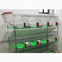 High Quality Rabbit and Chicken Cages Available