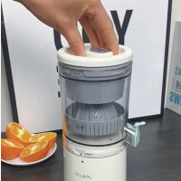 Electric Fruit Juicer