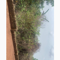 A Plot of Land With Unfinished 3 Bed