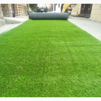 Turkish Carpet Grass