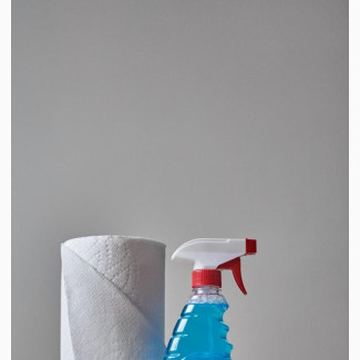 Household Domestic Staff And Nanny Available for Immediate Employment