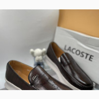 Lacoste Shoe
