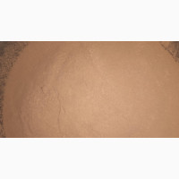 Chicory Stem Powder (500g)