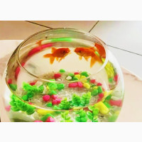 10 Liters Fishbowl With 3 Small Fishes