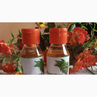Carrot Oil