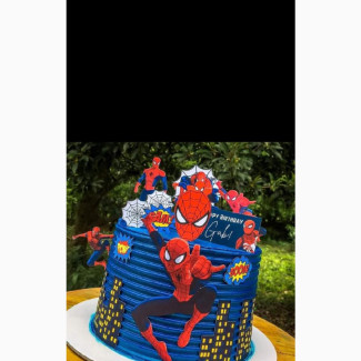 Children#039;s Character Birthday Cakes