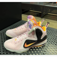 Nike Lebron Fly Kicks - Brand New Originals