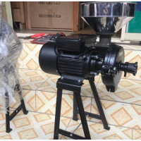 Wet and Dry Grinder