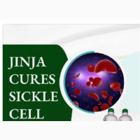 Jinja Herbal Extract - Treat Sickle Cell Anemia