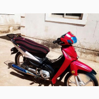 Daylong DL110-75 Power 2021 Red