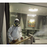 Top-notch Fumigation Service for a Pest-Free Environment