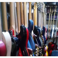 Professional Electric and Bass Guitars