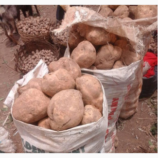 Potatoes - Fresh and Versatile (Per Bag)