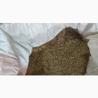 Brachiaria Ruziziensis Grass Seeds