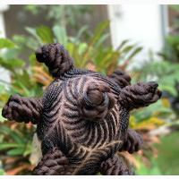 Bantu Braid Wig