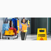 Industrial Home Cleaning Services