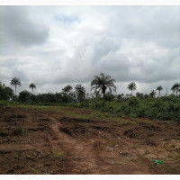 300sqm Land For Sale in Epe