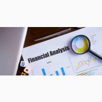 Financial Ratio Analysis Services - XEROMETRIX TECHNOLOGIES