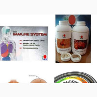 Reishi Gano RG Ganocelium GL for Healthy Cholesterol