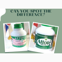 Attote Store