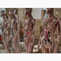 Female Rose Gold Mannequin