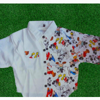 Chiffon Shirt