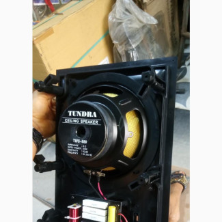 80w Tundra in Wall Speaker