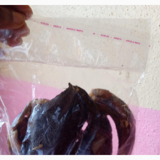 Production and Processing of Catfish. Tasty and Delicious