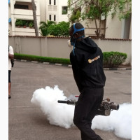 Fumigation Services Available at Draven Exterminator - Contact Us Today