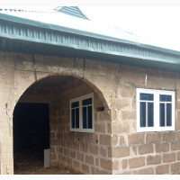 Casements Window and Net