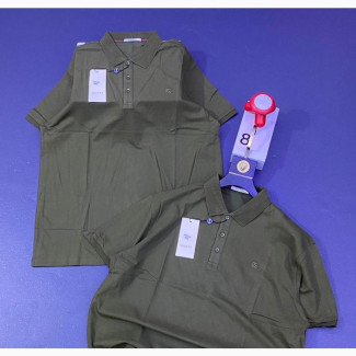Gucci Collar Neck Polo Shirts - Top Quality