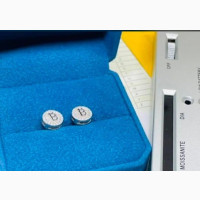 Moissanite Ice Sturd Earrings
