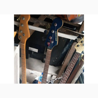 Tokunbo Bass Guitars(Used)