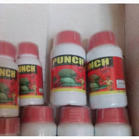 Punch Insecticide (100ml, 250ml)