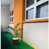 Grass Rugs for Indoor and Outdoor Use - Affordable and Durable