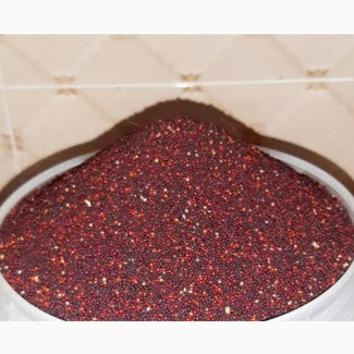 High-Quality Millet (Dawa and Jero)