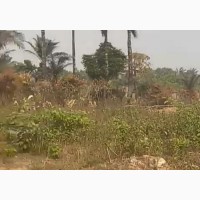 Buy Plot Land 60 by 100 in Network Estate, Enugu State Now