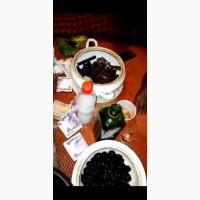 The best powerful spiritual native doctor in Nigeria+2348126891223