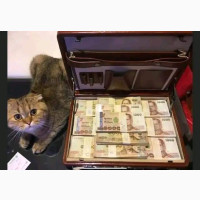 2348088228308=I want to join occult for money